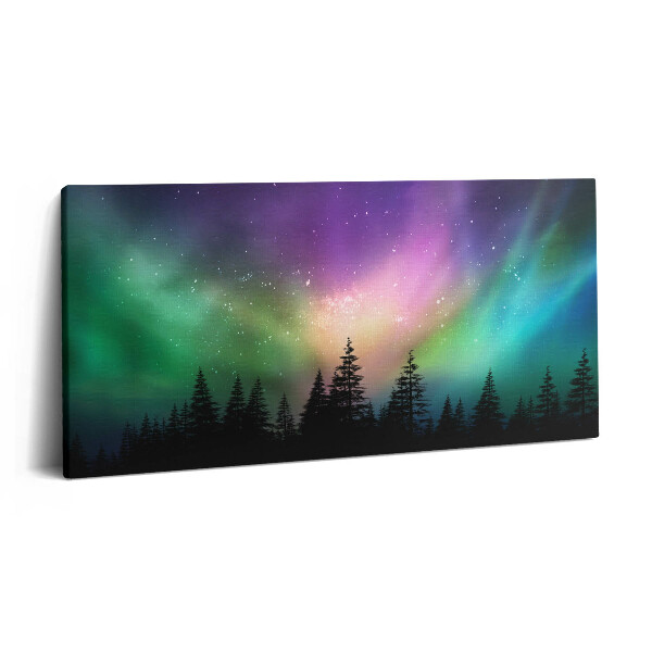 Vászonkép 140x70 Sarki fény