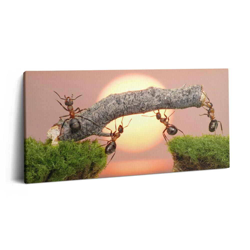 Vászonkép 140x70 Hangyák egy fatörzsön