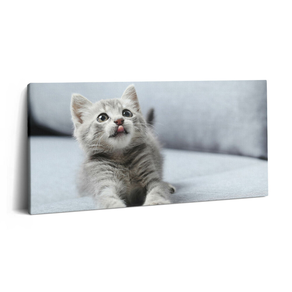 Vászonkép 140x70 Aranyos cica egy kanapén