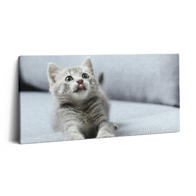 Vászonkép 140x70 Aranyos cica egy kanapén