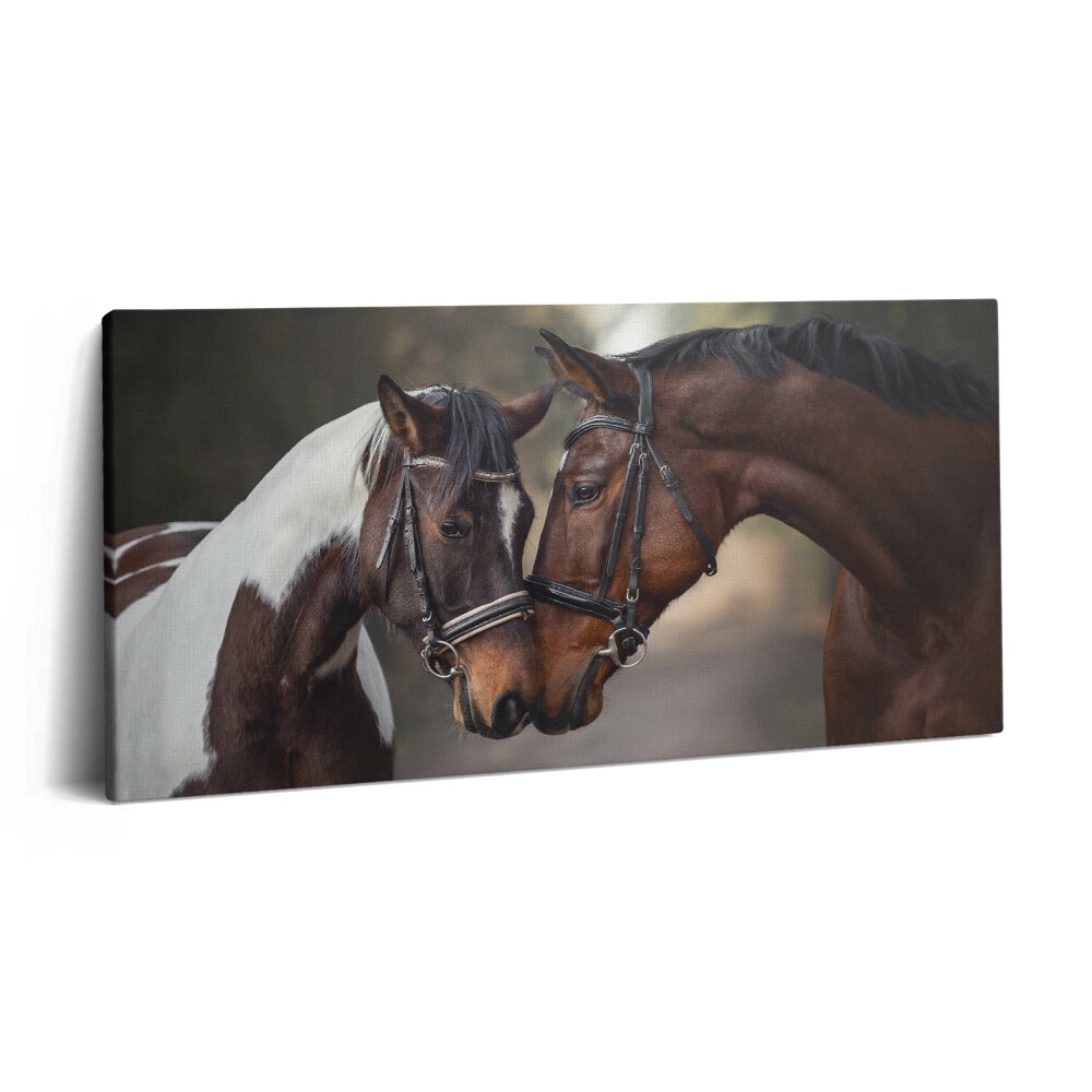 Vászonkép 140x70 Lovak portréja az erdőben