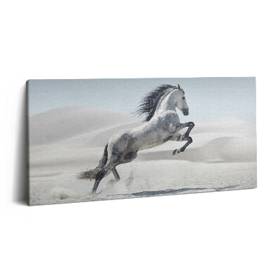 Vászonkép 140x70 Galoppozó fehér ló