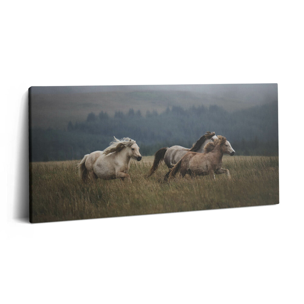 Vászonkép 140x70 Lovak galoppoznak felfelé