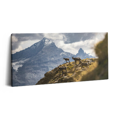 Vászonkép 140x70 Kecskék és az olaszországi Aosta-völgy