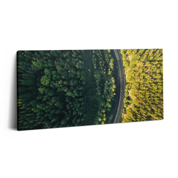 Vászonkép 140x70 Erdő drónról - Hóhegy