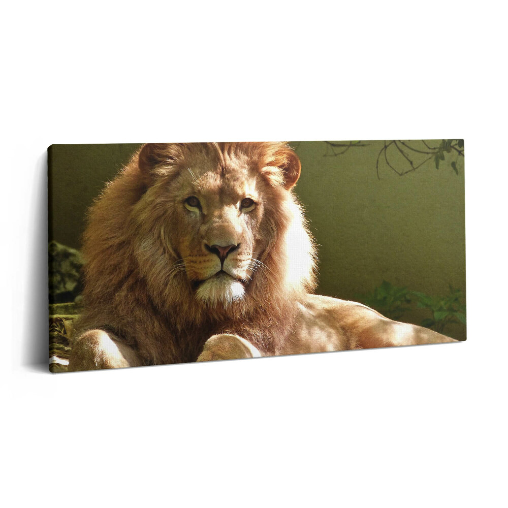 Vászonkép 140x70 Egy vad oroszlán portréja