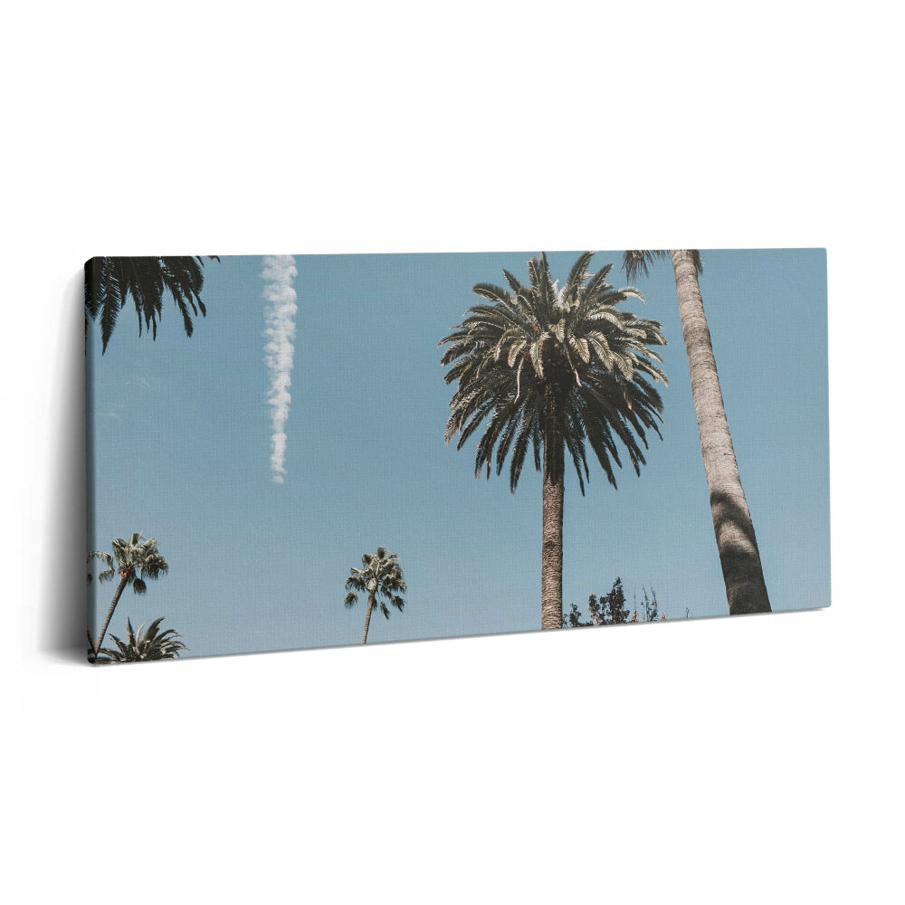 Vászonkép 140x70 Pálmafák Los Angelesben