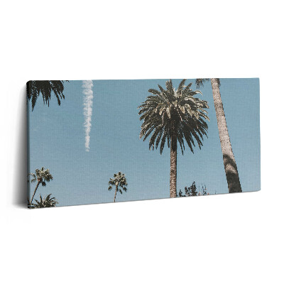 Vászonkép 140x70 Pálmafák Los Angelesben