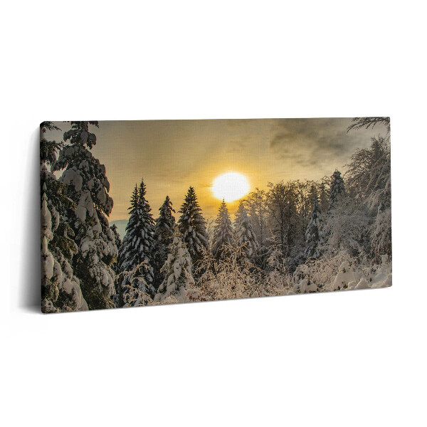 Vászonkép 140x70 Téli táj a Beszkidek hegységben