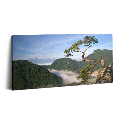 Vászonkép 140x70 Sokolica-csúcs Pieninyben