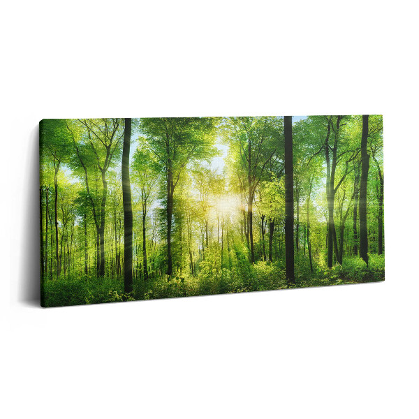 Vászonkép 140x70 Erdei fák természete