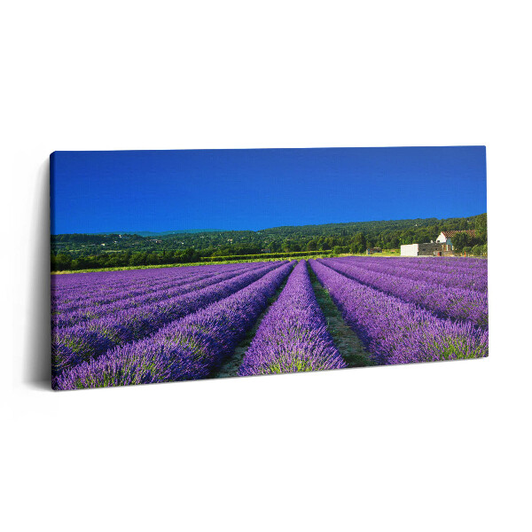 Vászonkép 140x70 Levendulamező Provence-ban