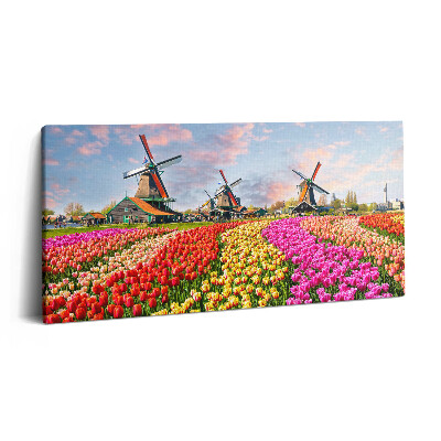 Vászonkép 140x70 Tájkép tulipánokkal Hollandia