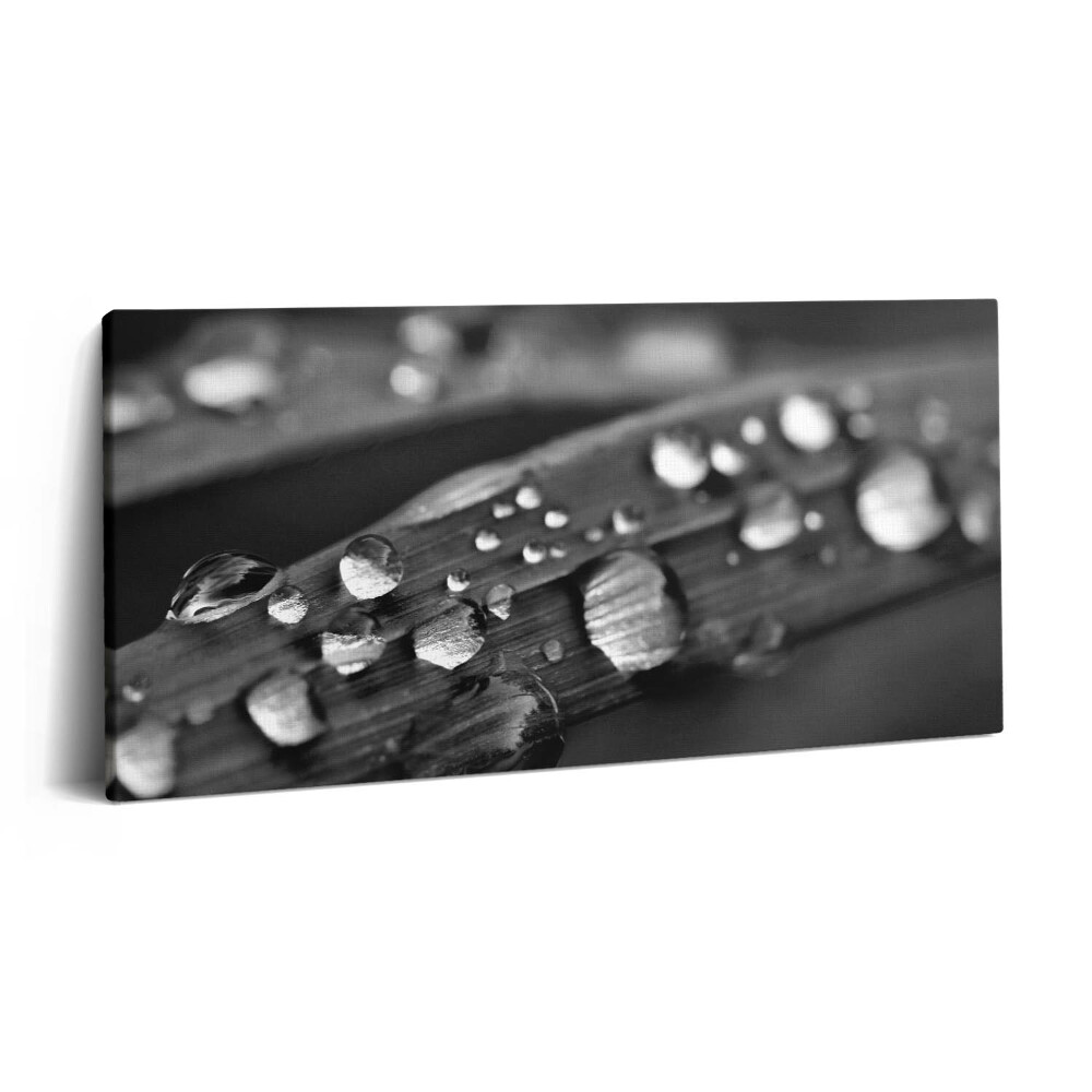 Vászonkép 140x70 Rózsalevél Fekete-fehér