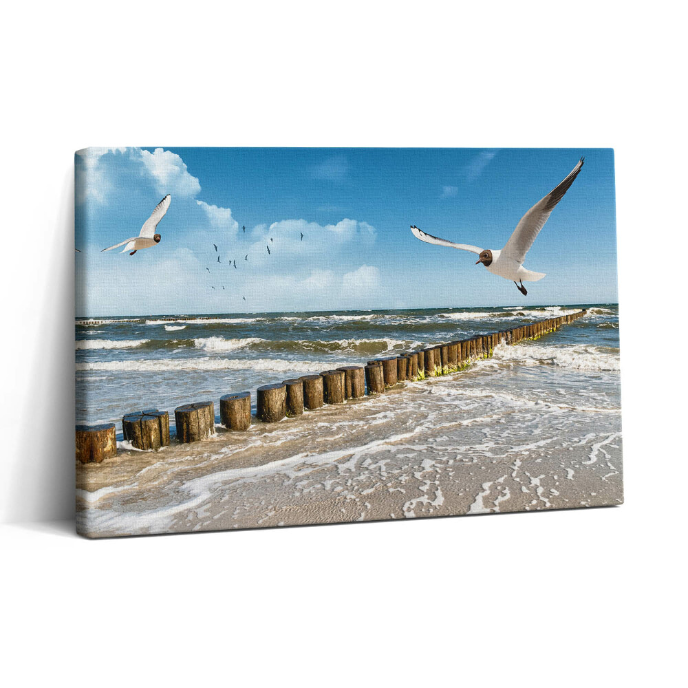 Vászonkép nyomtatás 30x20 Madár a tengerparton