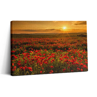 Vászonkép nyomtatás 30x20 Tájkép egy tisztáson pipacsokkal