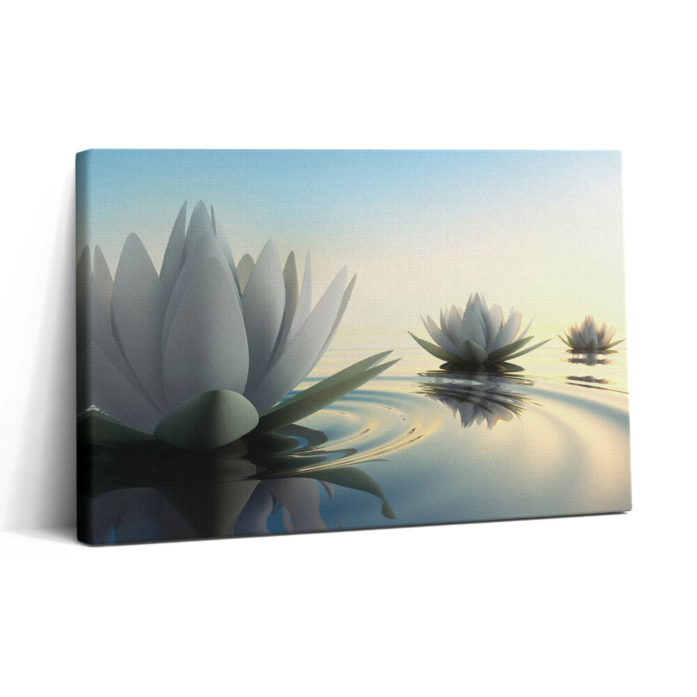 Vászonkép nyomtatás 30x20 Liliomvirágok a vízen