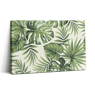 Vászonkép nyomtatás 30x20 Monstera levél illusztráció