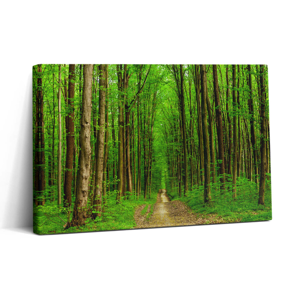 Vászonkép nyomtatás 30x20 Erdei ösvény a fák között