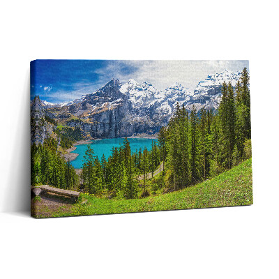 Vászonkép nyomtatás 30x20 Mezőségi és hegyvidéki táj