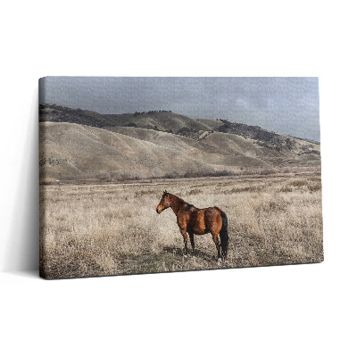 Vászonkép nyomtatás 30x20 Ménes a fű között