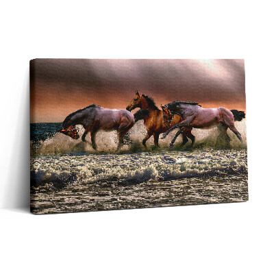 Vászonkép nyomtatás 30x20 Vízbe bukott lovak