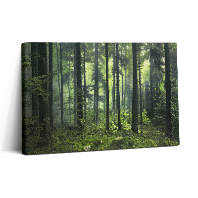 Vászonkép nyomtatás 30x20 Fákból és erdei növényzetből álló tájkép