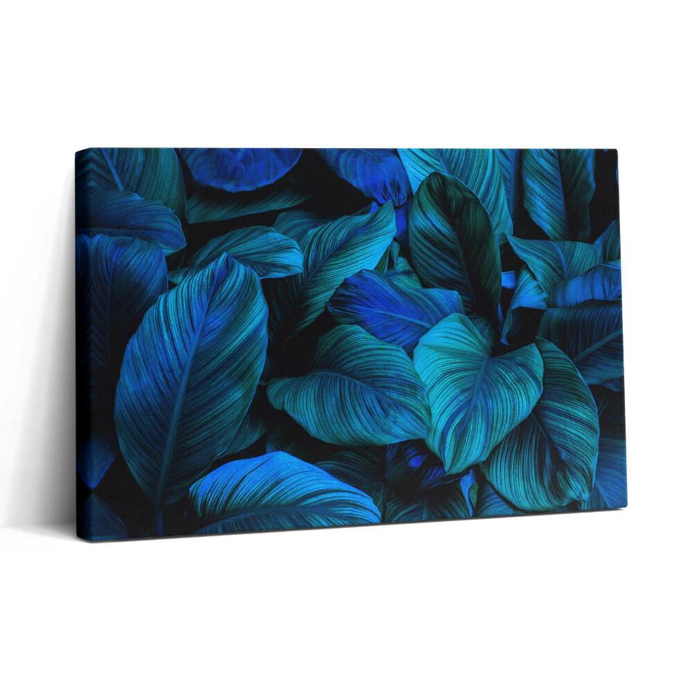 Vászonkép nyomtatás 30x20 Trópusi természet