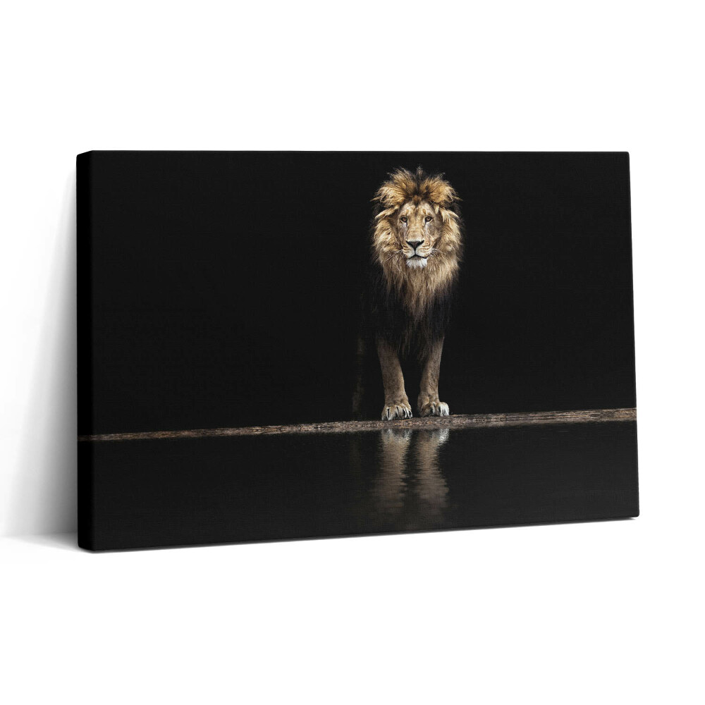 Vászonkép nyomtatás 30x20 Magányos vadállat oroszlán