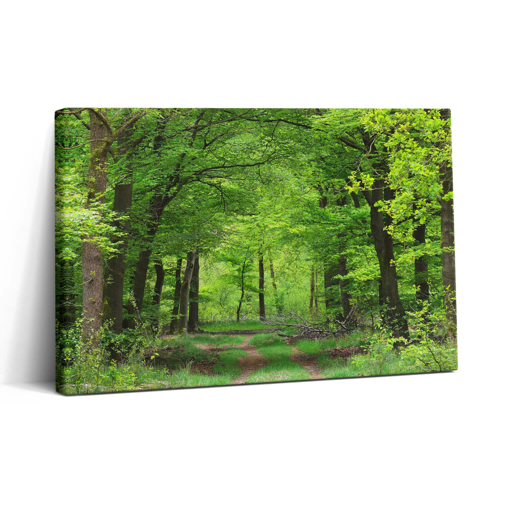 Vászonkép nyomtatás 30x20 Erdei út a fák alatt