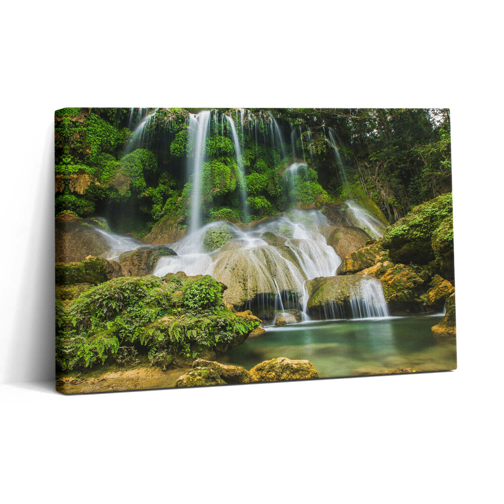 Vászonkép nyomtatás 30x20 Vad természetes vízesés