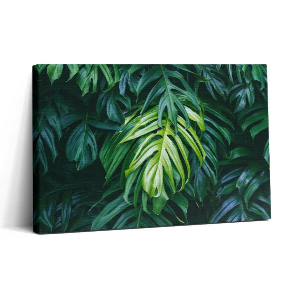 Vászonkép nyomtatás 30x20 Trópusi természet - monstera levelek