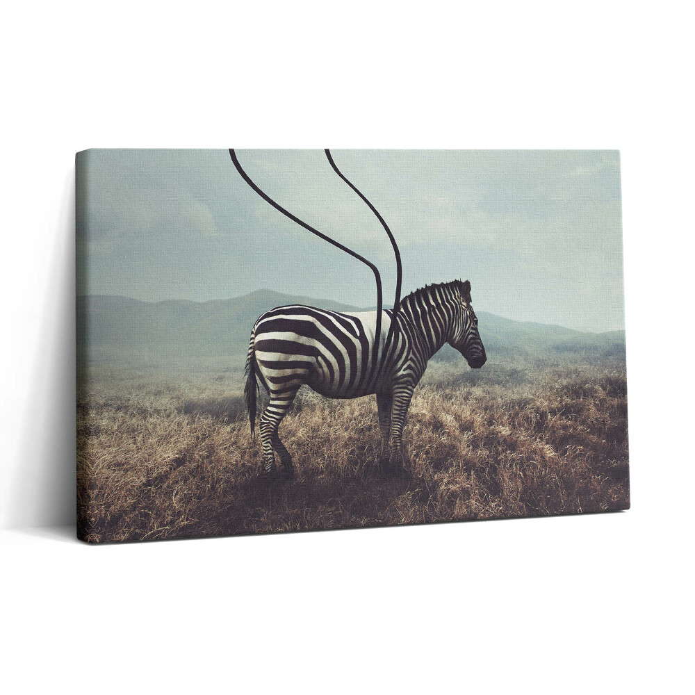 Vászonkép nyomtatás 30x20 Illusztráció zebracsíkokkal