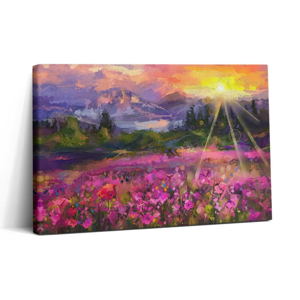 Vászonkép nyomtatás 30x20 Mező naplementében