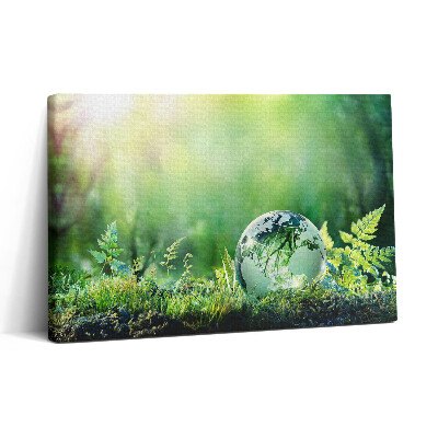 Vászonkép nyomtatás 30x20 Földgömb a fűben