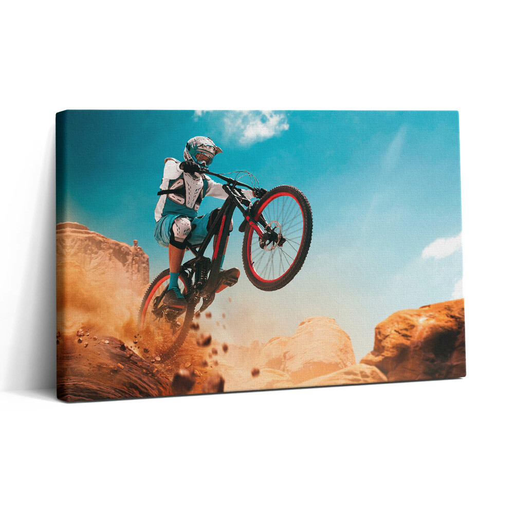 Vászonkép nyomtatás 30x20 Motorozás a sivatagban