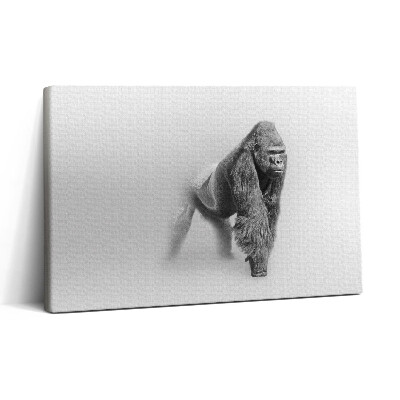 Vászonkép nyomtatás 30x20 Vadon élő állatok gyűjteménye