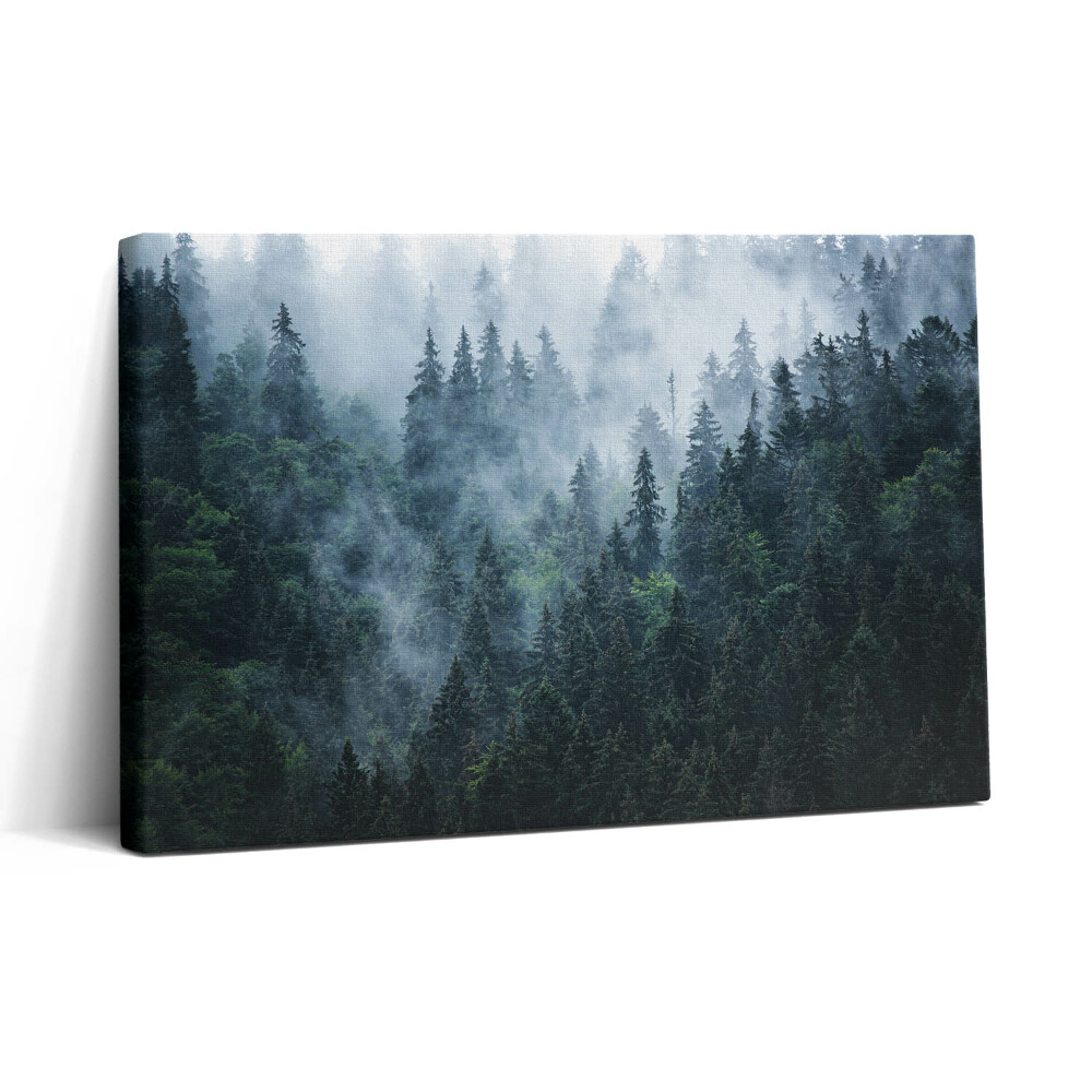 Vászonkép nyomtatás 30x20 Ködös hegyi táj