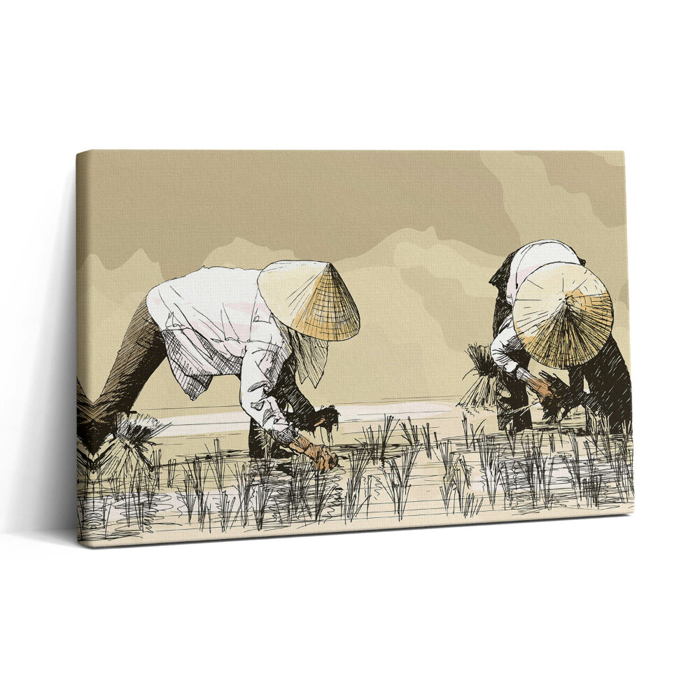 Vászonkép nyomtatás 30x20 Két nő rizst szed Ázsiában