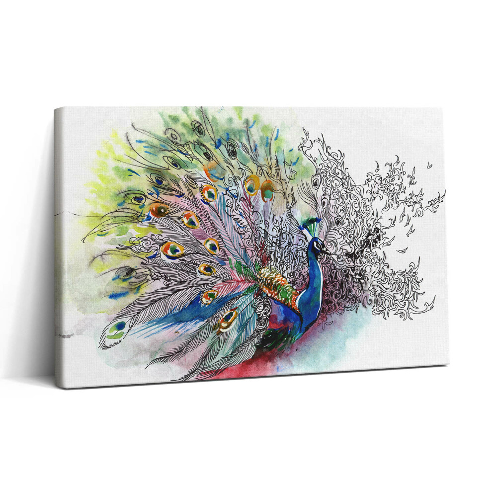 Vászonkép nyomtatás 30x20 Színes páva