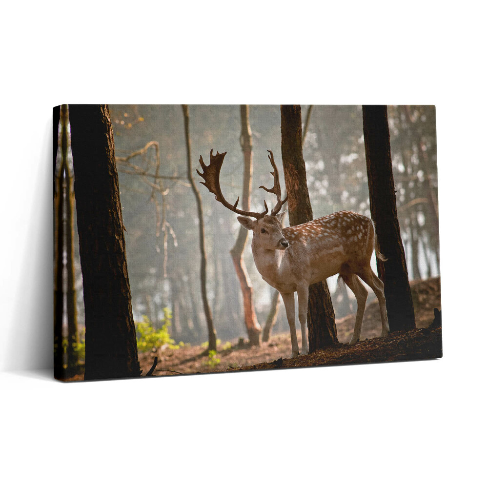 Vászonkép nyomtatás 30x20 Szarvas a felkelő nap fényében