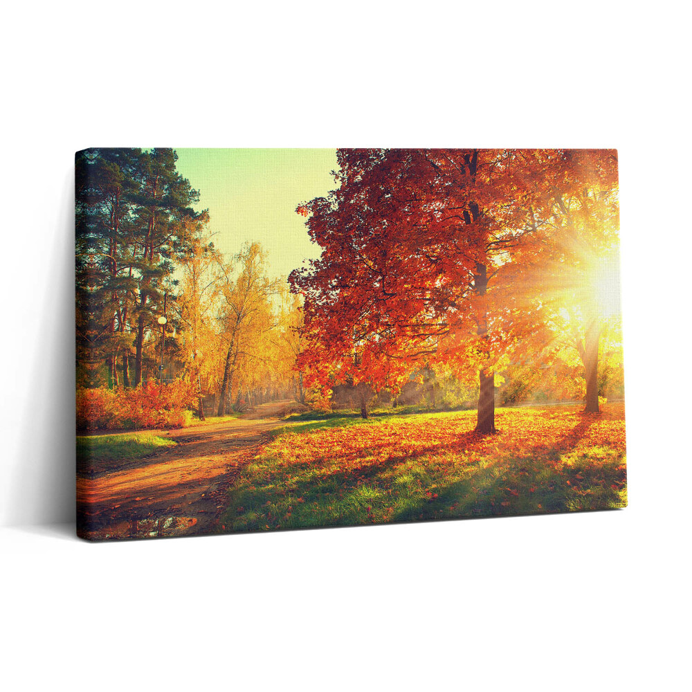 Vászonkép nyomtatás 30x20 Őszi park