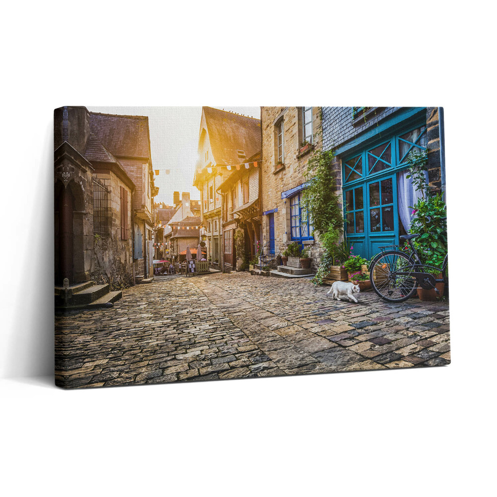 Vászonkép nyomtatás 30x20 Régi városi utca