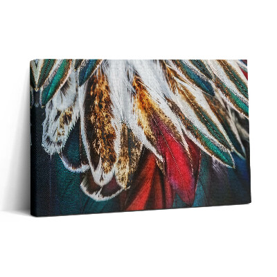 Vászonkép nyomtatás 30x20 Világosbarna madártollak