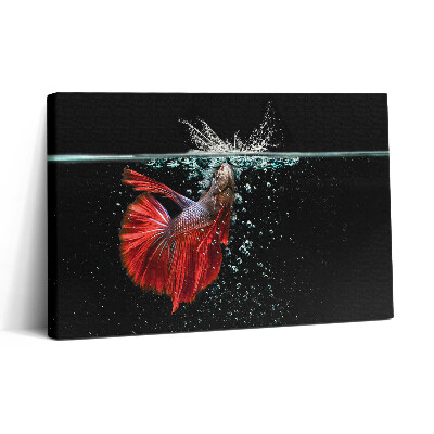 Vászonkép nyomtatás 30x20 Halak egy akváriumban