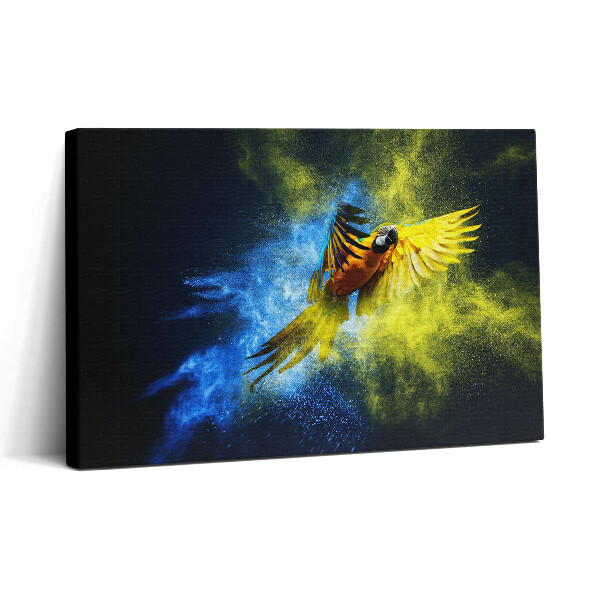Vászonkép nyomtatás 30x20 Színes papagáj