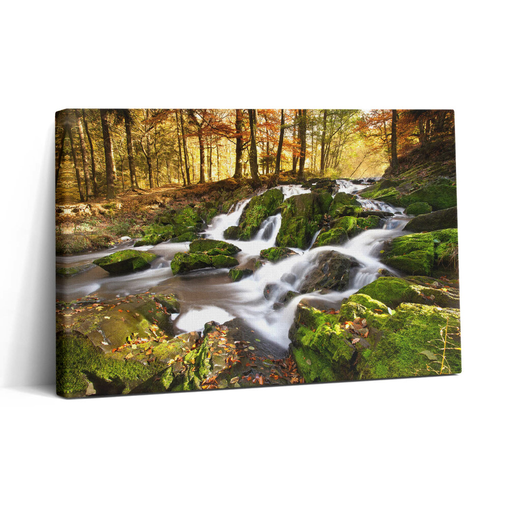 Vászonkép nyomtatás 30x20 Patak az őszi erdőben