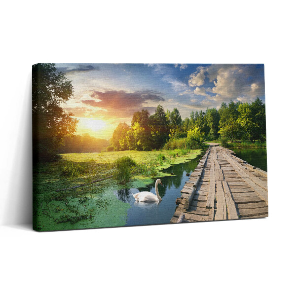 Vászonkép nyomtatás 30x20 Hattyú naplementében