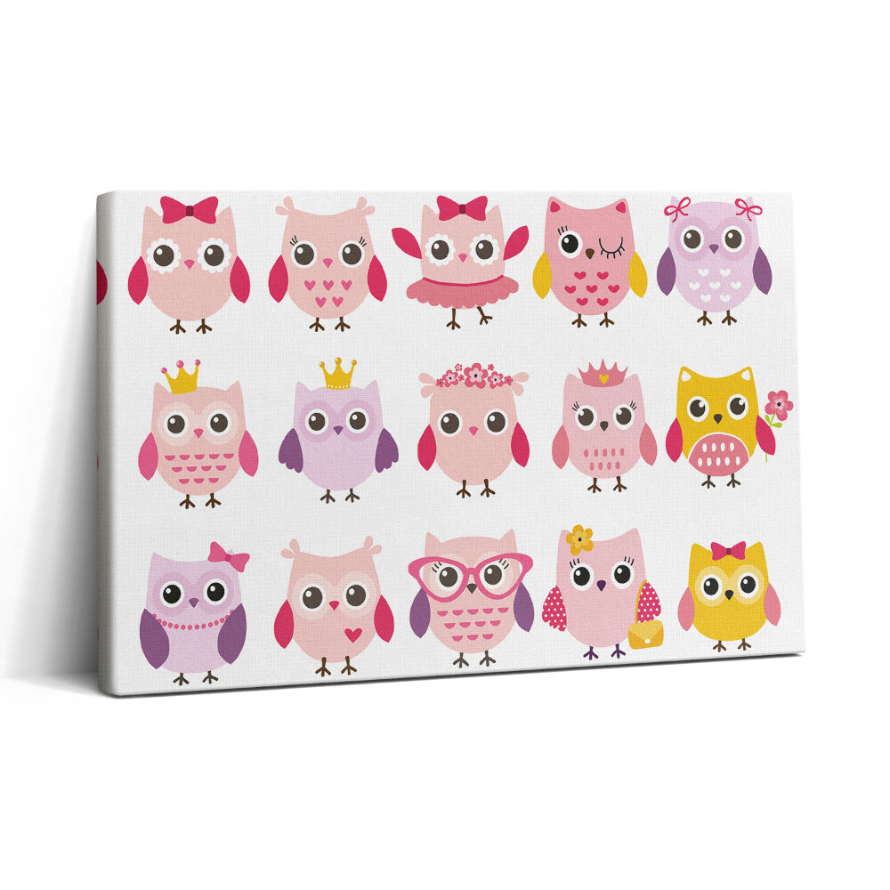 Vászonkép nyomtatás 30x20 Színes baglyok