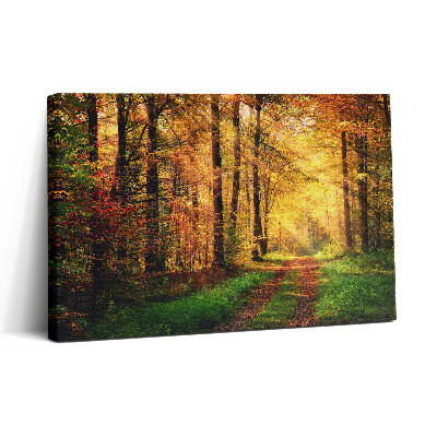 Vászonkép nyomtatás 30x20 Őszi erdei tájkép
